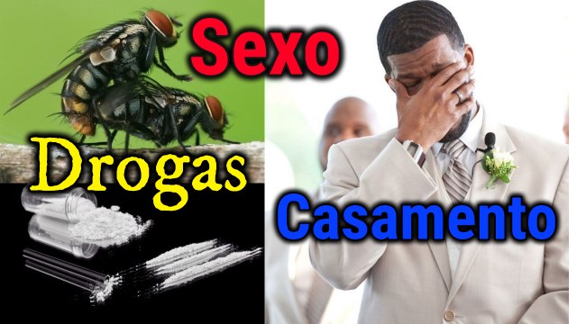 Noiva Careca - Avião de Maconha - Coquetel de Mortadela - Direitos Humanos para Bonecas Sexuais - Notícias Importantes