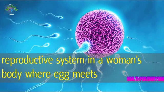 Natural Therapies for Blocked Fallopian Tubes- Health for everyone