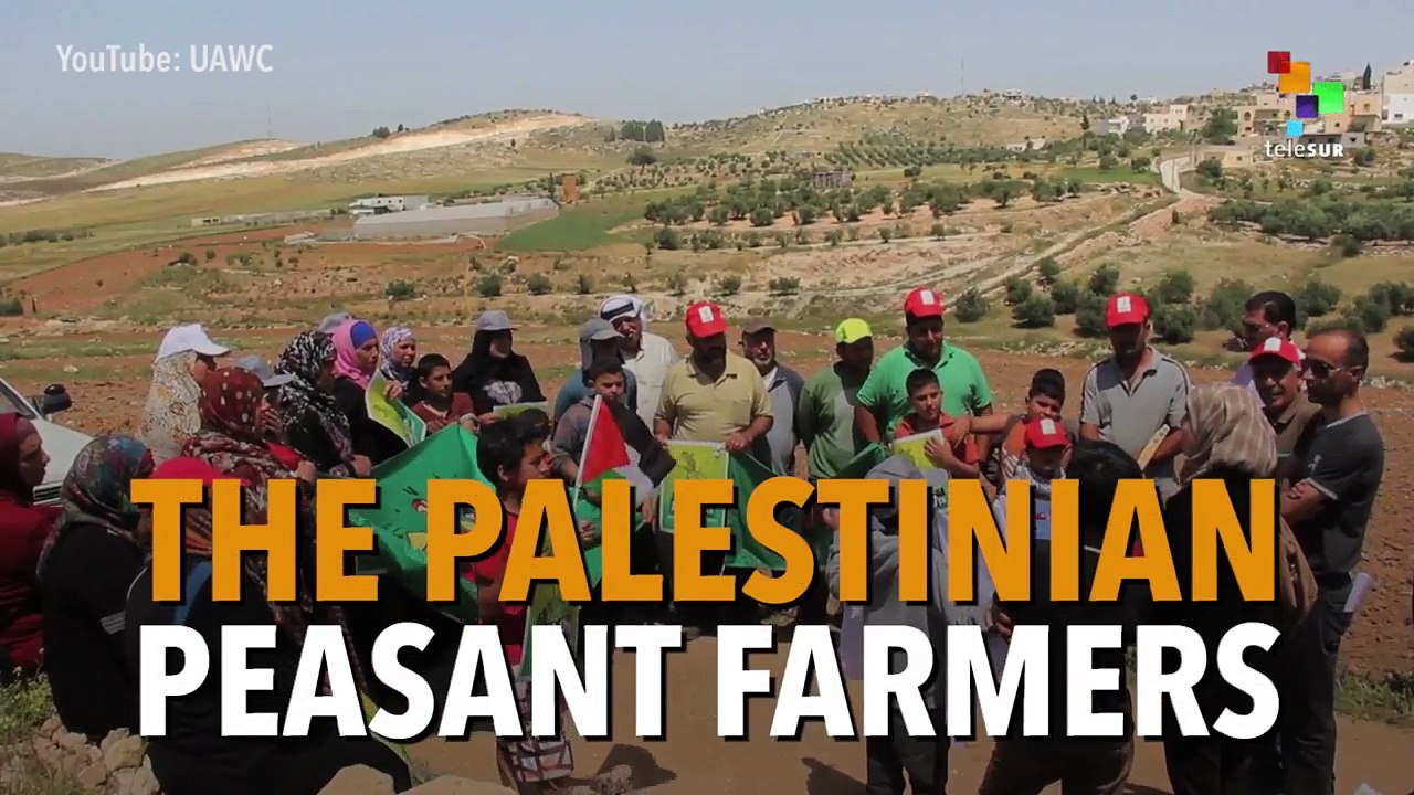Palestinian Peasants: A Movement Against Imperialism