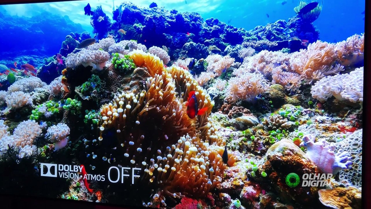 LG lança smart TV OLED com 65 polegadas