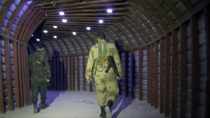 Investigators to probe alleged chemical attack in Douma