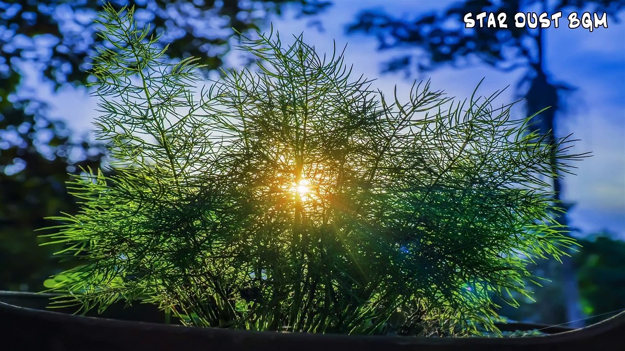 【快眠音楽】眠くなる睡眠用ピアノBGM【リラックス】Relaxing Sleep Music: Deep Relaxing Music, Beautiful Nature, Meditation Music, Sleeping Music