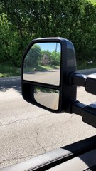 Monkey Running on Road in Texas