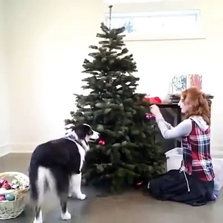 Feliz Navidad muy tierna