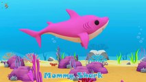 Baby Shark Song Sing and Dance - Sing and Dance! Animal Songs for Children and kids Nursery Rhymes