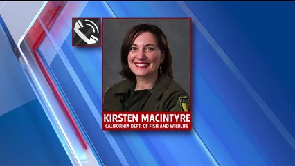 Wildlife Officials Say Picture of Alligator in California Lake Was Hoax