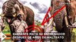 Ataques de elefante: elefante forzado a dar paseos pisotea a su domador por resentimiento - TomoNews