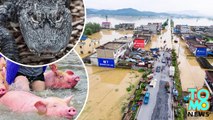 Cien cocodrilos escapan de un refugio de animales en China tras inundaciones