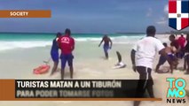 Tiburón muere luego de que turistas en Punta Cana lo sacaran del agua para tomarse fotos