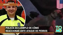 Policía que fue atacado por dos perros les respeta la vida y los logra calmar