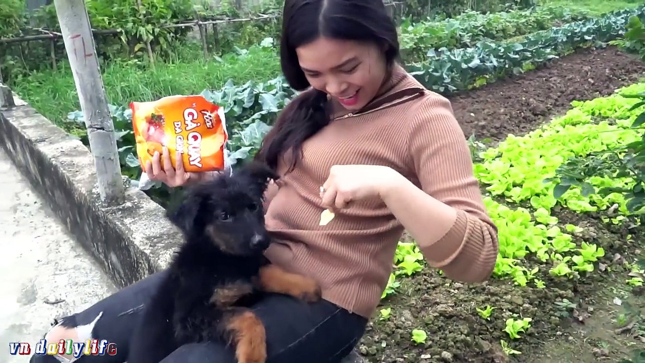 Lovely smart girl Playing Baby Cute Dogs On Rice Fields || How to play with dog & Feed bab