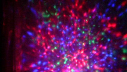 test5. white noise .