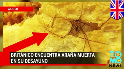 Británico que sufre de aracnofobia encuentra una araña muerta en su desayuno