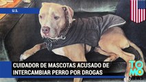 Cuidador de mascotas en Nueva York es acusado de intercambiar a un perro por drogas