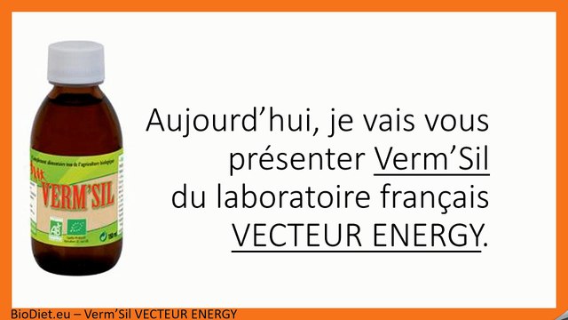 Verm'Sil de VECTEUR ENERGY chez BioDiet.eu