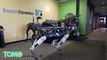 Nuevo perro robot de Google es abusado por ingenieros… posiblemente cobre venganza en el futuro