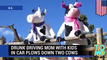 Mujer ebria atropella dos vacas y decide seguir bebiendo, con sus 3 hijos en el interior del auto