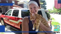Mujer intenta rescatar gato en un árbol y también queda atrapada, bomberos los rescatan