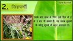 शराब छुड़ाने के जबरदस्त घरेलू नुस्खे || Home Remedies for leave alcohol || Apna Ayurved