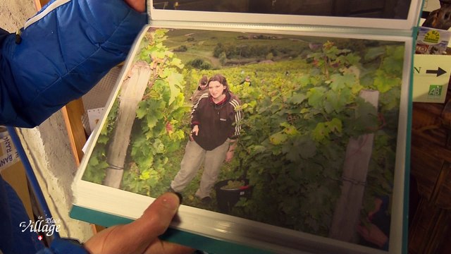 La Place du Village [S.1][E.146] - S1E146 - La viticulture bio à Saint-André - Les Marches