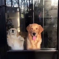 Youth vs Wisdom | Which side are you??