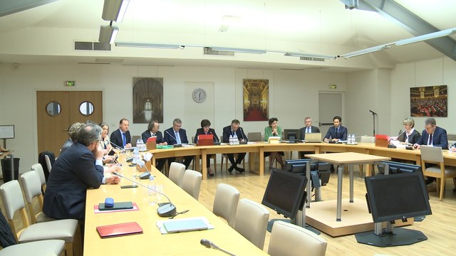 [Revitalisation des centres-villes et des centres-bourgs] Conclusions du groupe de travail de la délégation aux collectivités territoriales