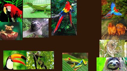 Characteristics of north kingdom & Benjamin