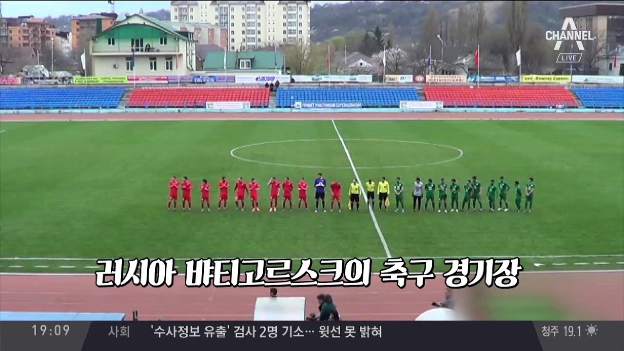축구장 곰, 이게 재밌나요?