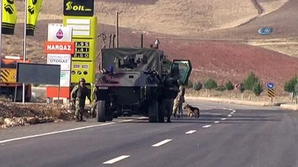 Mayın arama köpeği güvenlik güçlerinin hayatını kurtardı