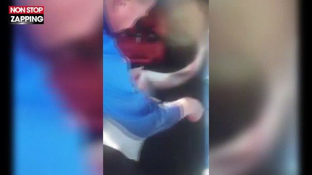 Un pêcheur sauve des dizaines de bébés requins du ventre de leur mère (Vidéo)