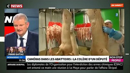 EXCLU - Caméras dans les abattoirs: Le député Olivier Falorni lance en direct un appel à Emmanuel Macron - VIDEO