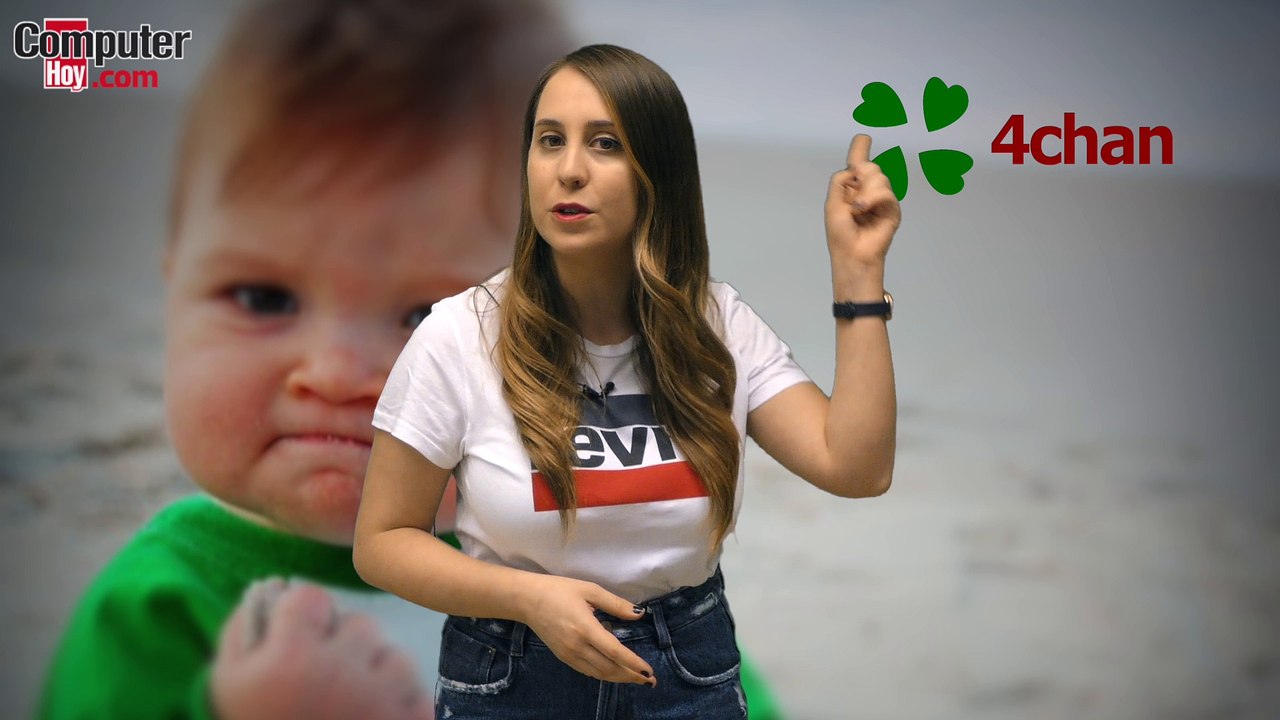 ¿Qué es MEME?