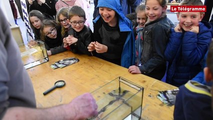 Concarneau. La pêche expliquée aux enfants au village de l'Ag2r