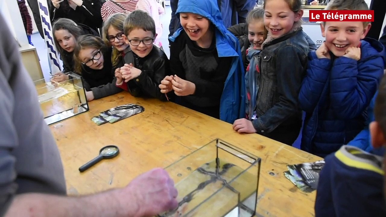 Concarneau. La pêche expliquée aux enfants au village de l'Ag2r