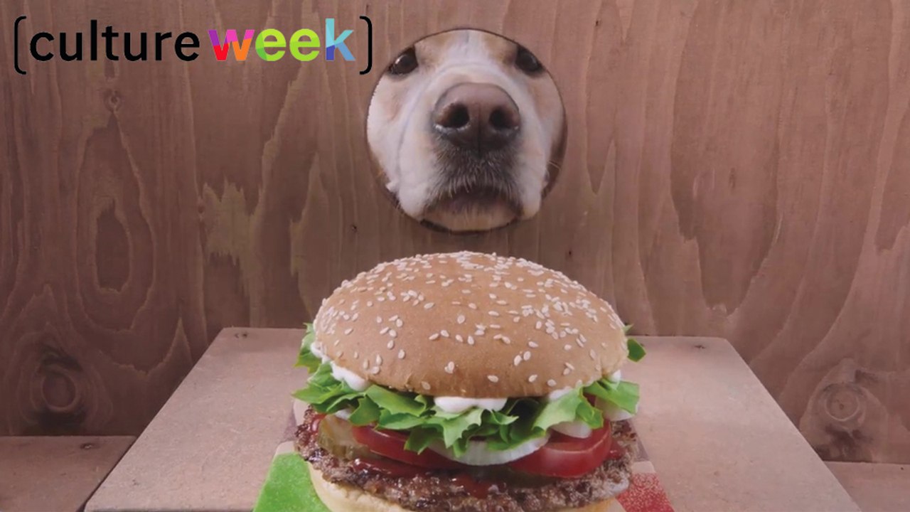 Culture Week by Culture Pub : chiens, street art et transgenre