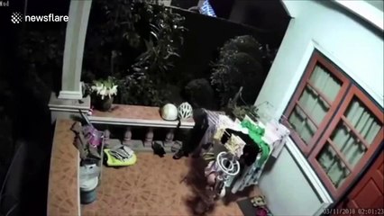 Serial underwear thief caught on CCTV