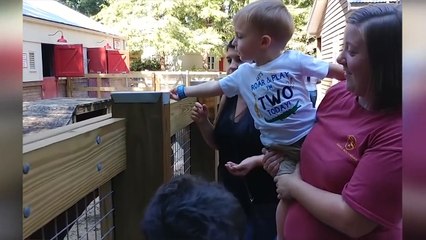 TRY NOT TO LAUGH  Funny Kids At The Zoo Vine Compilation -  Funny Cute Baby