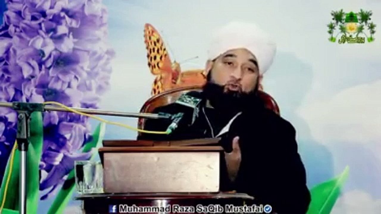 Muhammad Raza Saqib Mustafai (264)