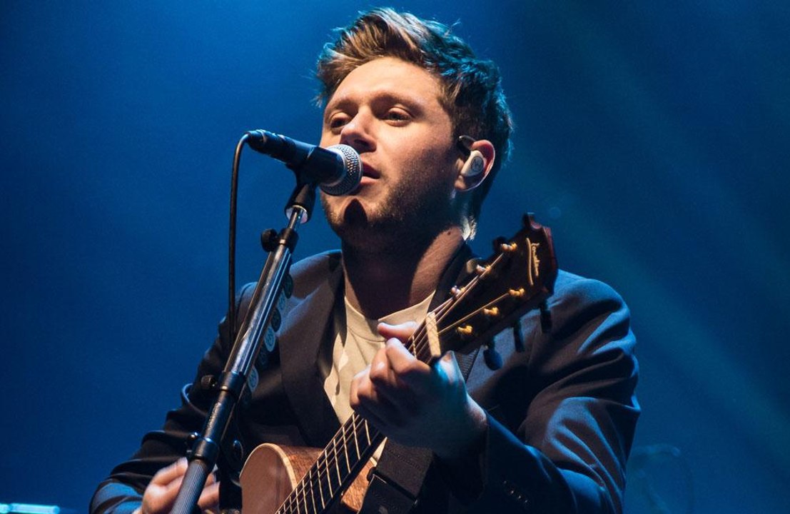 Niall Horan and Julia Michaels to make music together