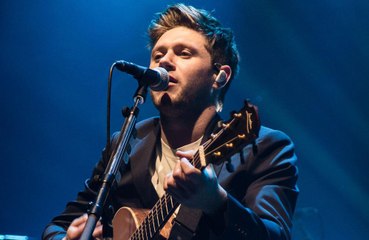 Niall Horan and Julia Michaels to make music together