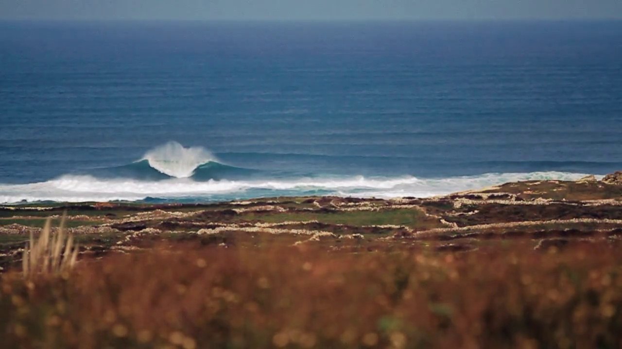 La Vaca 2012