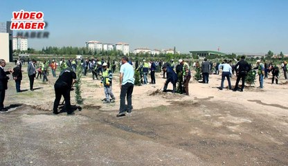 (18 Nisan 2018) DAHA YEŞİL KAYSERİ İÇİN BİN ADET FİDAN DİKİLDİ