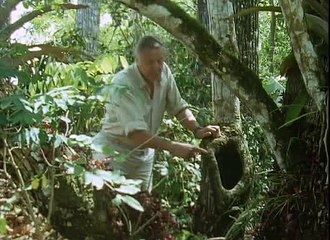 David Attenborough - Az Élet Megpróbáltatásai - 11