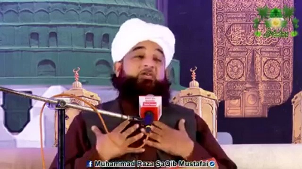 Muhammad Raza Saqib Mustafai (273)
