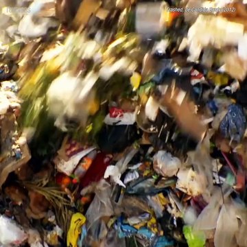 Journée de la Terre: les cinq documentaires nécessaires