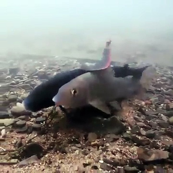 ahhhhh