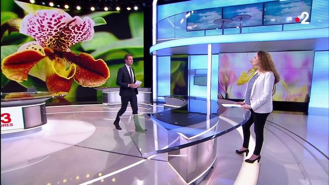 Jardinage : les bons réflexes à adopter avec l'arrivée des beaux jours