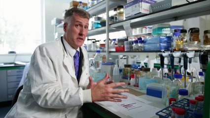 Hannibal in the Alps - Secrets of the Dead