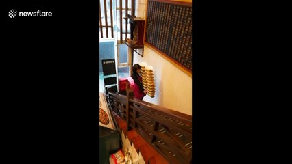 Skilled Chinese waitress carries 20 bowls of hot noodles up flight of stairs
