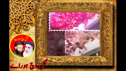 Khadim Hussain Rizvi Emational Bayan